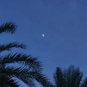 爽⋯躁多水⋯快⋯深点小软件
